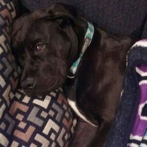 Meet your Posher, Audra